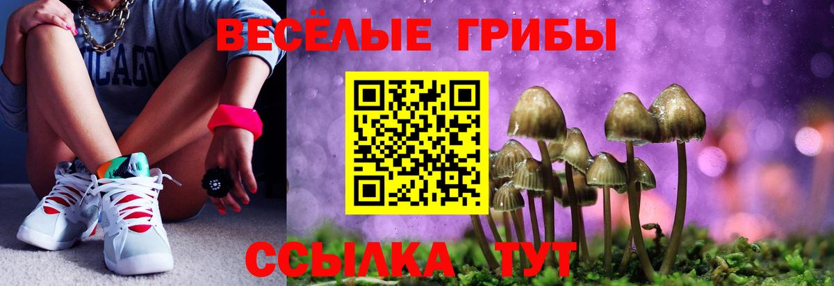 Псилоцибиновые грибы мицелий  Псилоцибиновые грибы прущие грибы  Верхний Уфалей  Вход с VPN 
